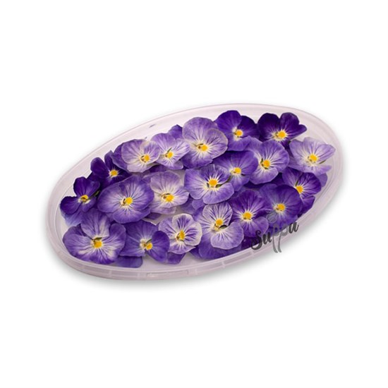 Виола обезвоженная Paradise Flower - Райский цветок (плоская) - 20 шт. - фото 10935
