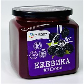 {{photo.Alt || photo.Description || 'Proff Puree Ежевика 500 гр.'}}