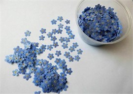 {{photo.Alt || photo.Description || 'Сухоцветы Незабудки 20 шт.'}}