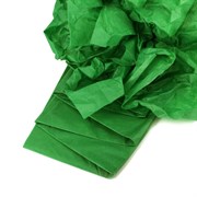 Бумага упаковочная тишью, Зеленная 50 х 66 см (10 листов)