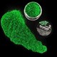 Глиттер съедобный пищевой Зелёный Caramella, 5 гр - фото 10981