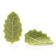 D77796. Украшение шоколадное Извилистый листок зеленый, Dobla - фото 8793